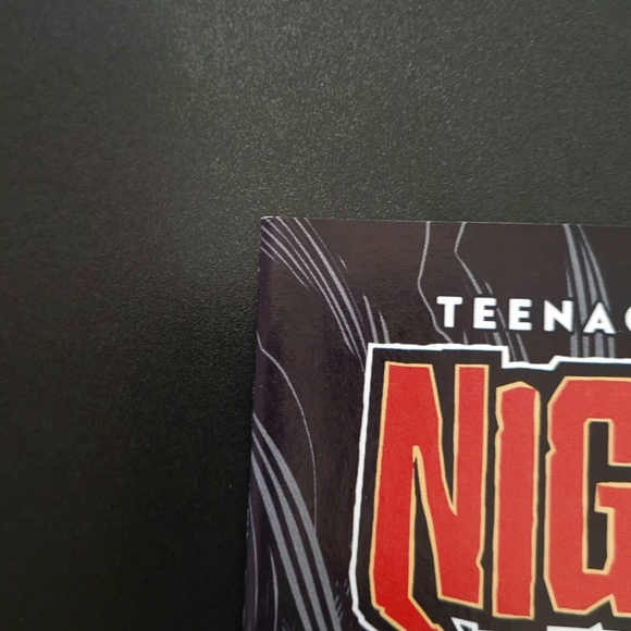 Teenage Mutant Ninja Turtles: Nightwatcher #1 - Picture 5 of 8